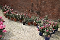 VBS_4630 - Premio della Rosa Principessa Maria Letizia - Sesta edizione 0025